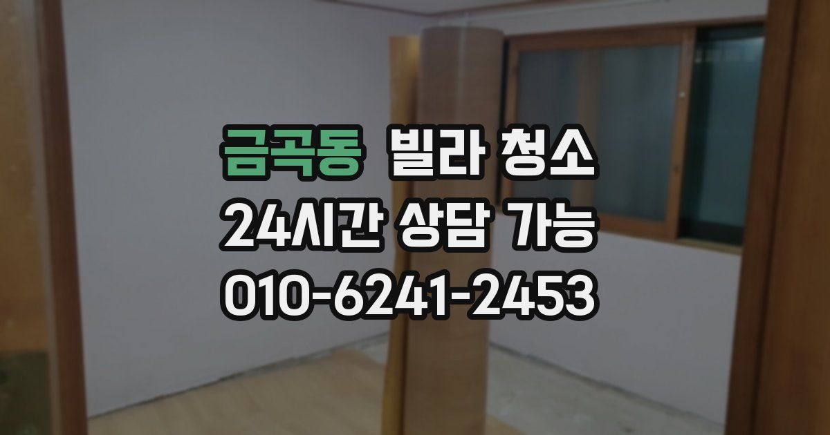 금곡동 빌라 청소