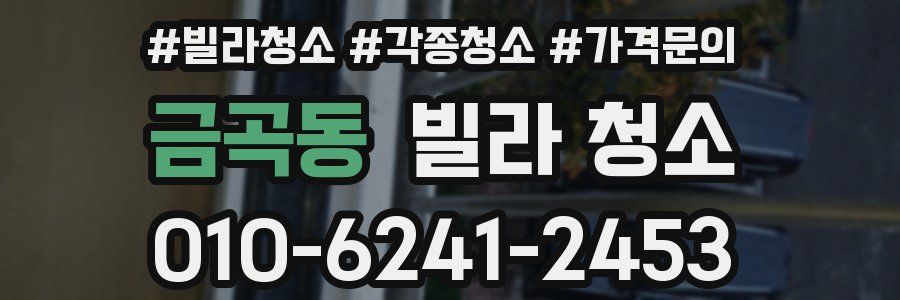 금곡동 빌라 청소