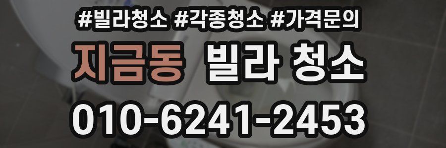 지금동 빌라 청소