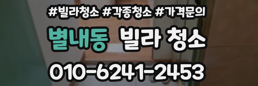 별내동 빌라 청소