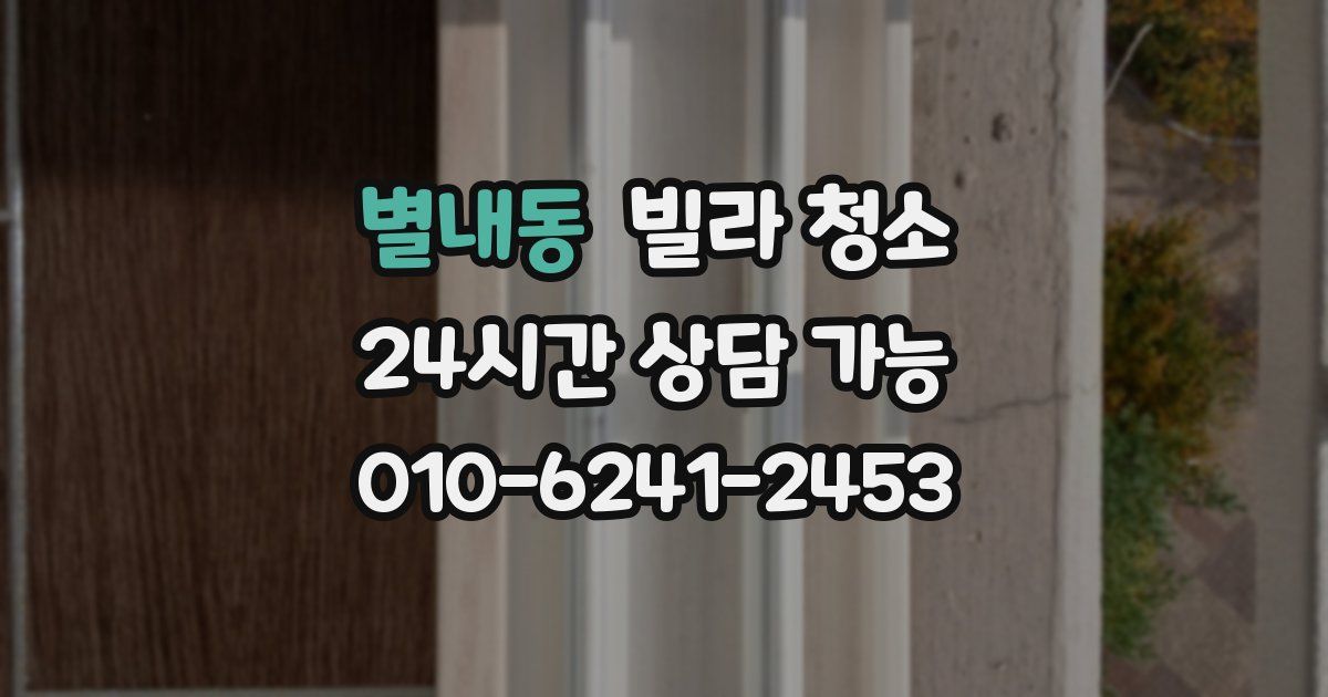별내동 빌라 청소