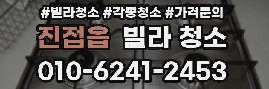 진접읍 빌라 청소