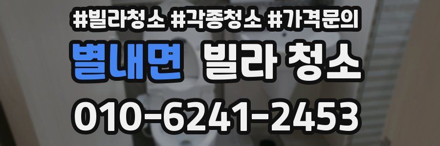 별내면 빌라 청소