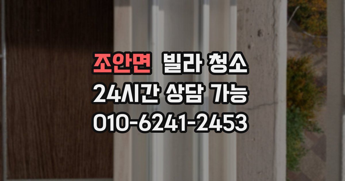 조안면 빌라 청소