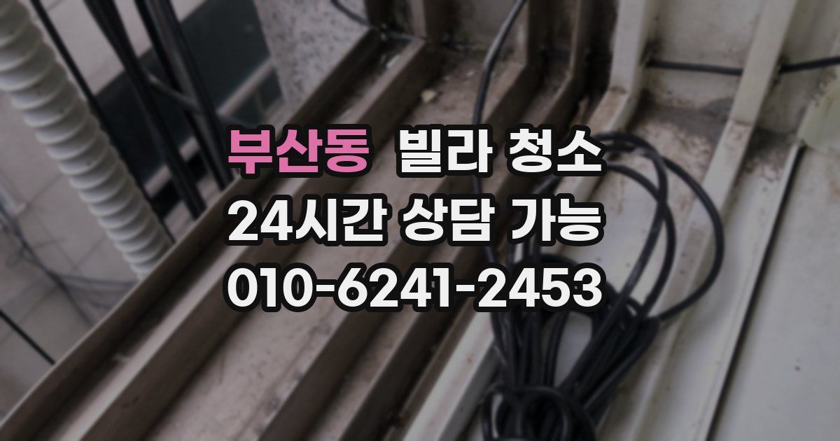 부산동 빌라 청소