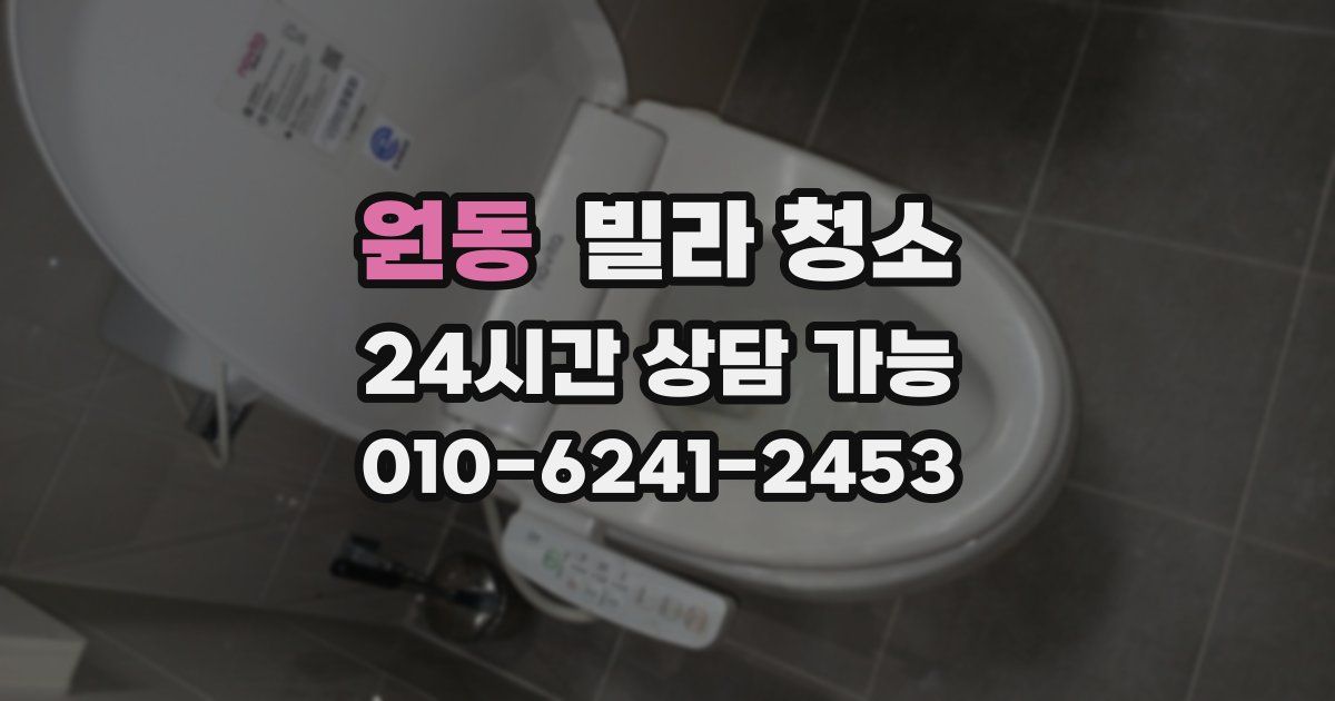 원동 빌라 청소