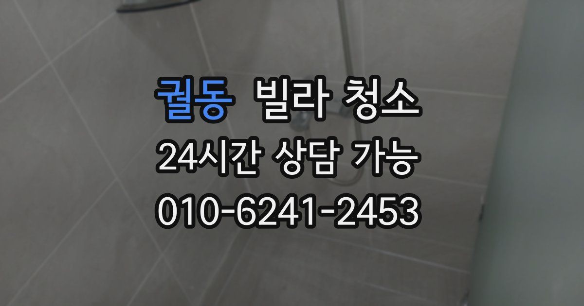 궐동 빌라 청소