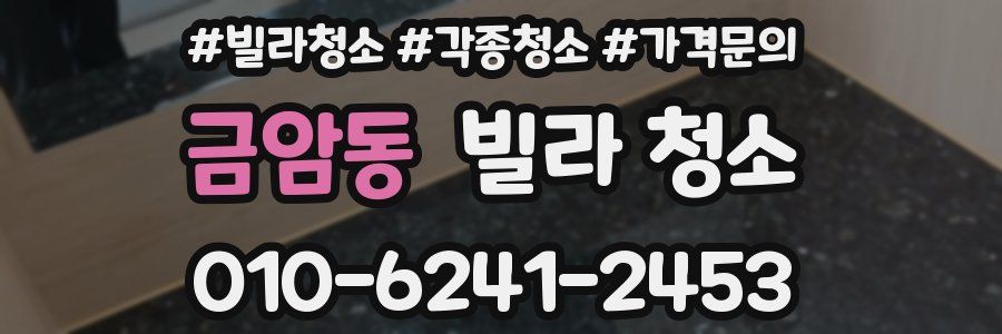 금암동 빌라 청소