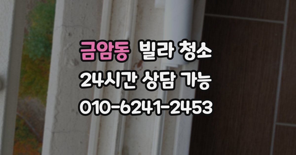 금암동 빌라 청소