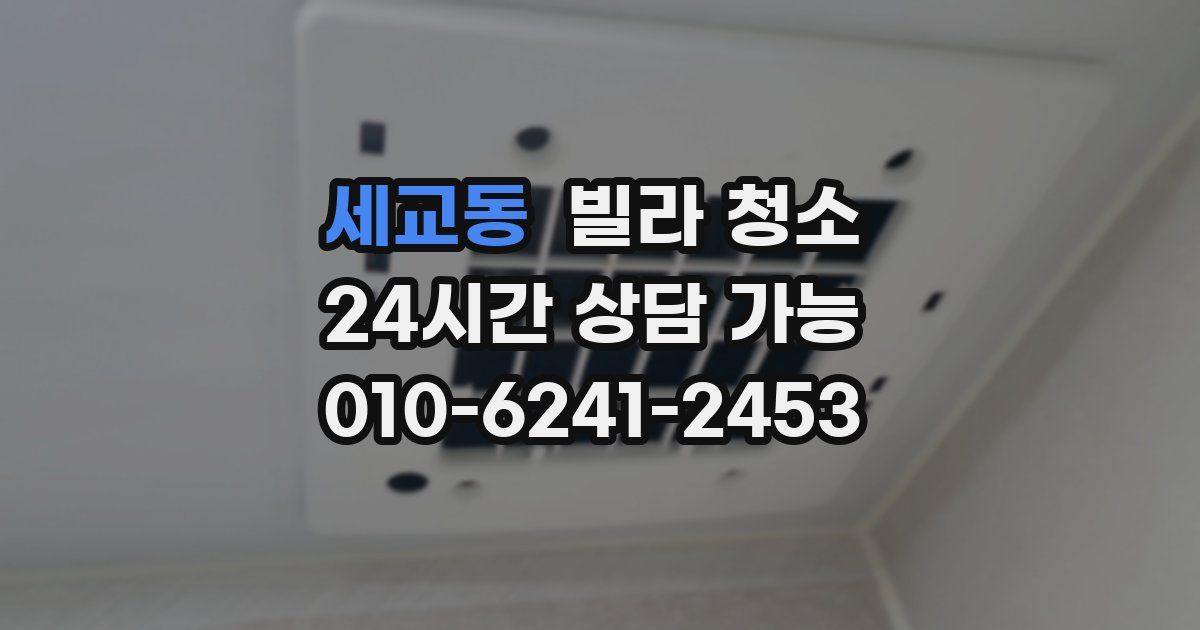 세교동 빌라 청소