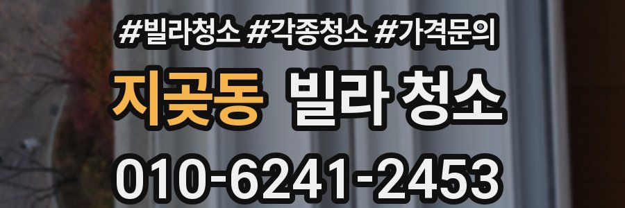 지곶동 빌라 청소