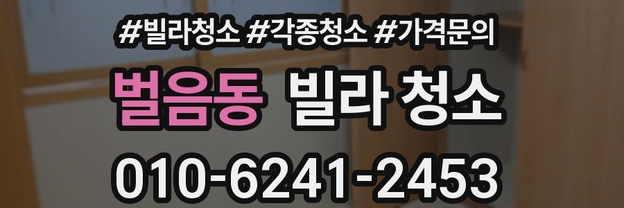 벌음동 빌라 청소