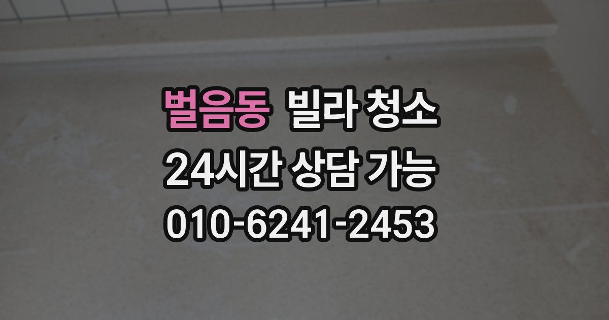 벌음동 빌라 청소