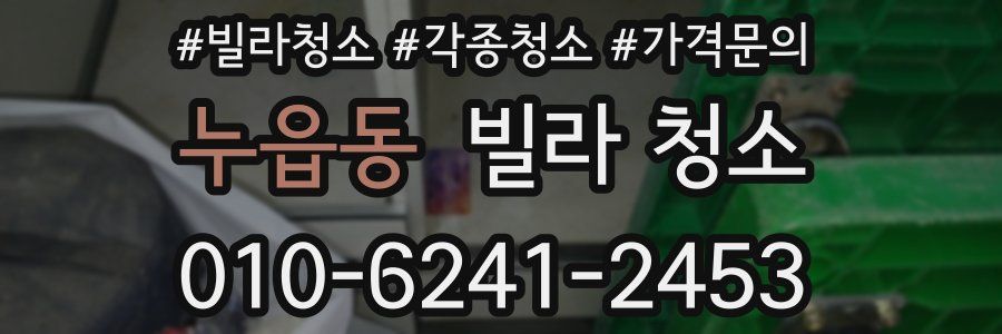 누읍동 빌라 청소