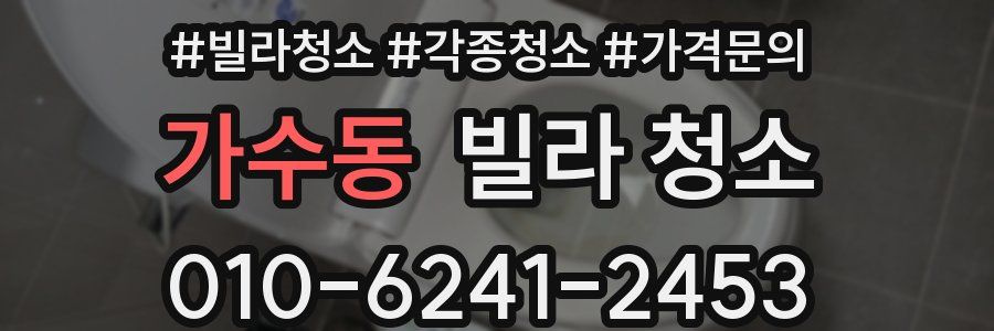 가수동 빌라 청소