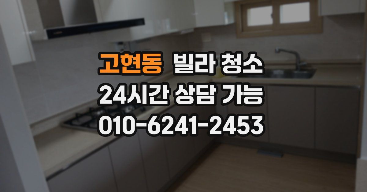 고현동 빌라 청소