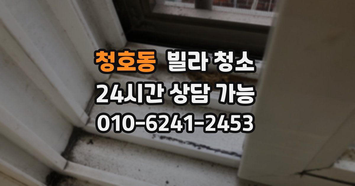 청호동 빌라 청소