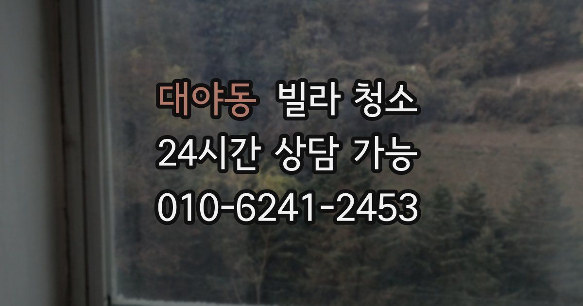 대야동 빌라 청소