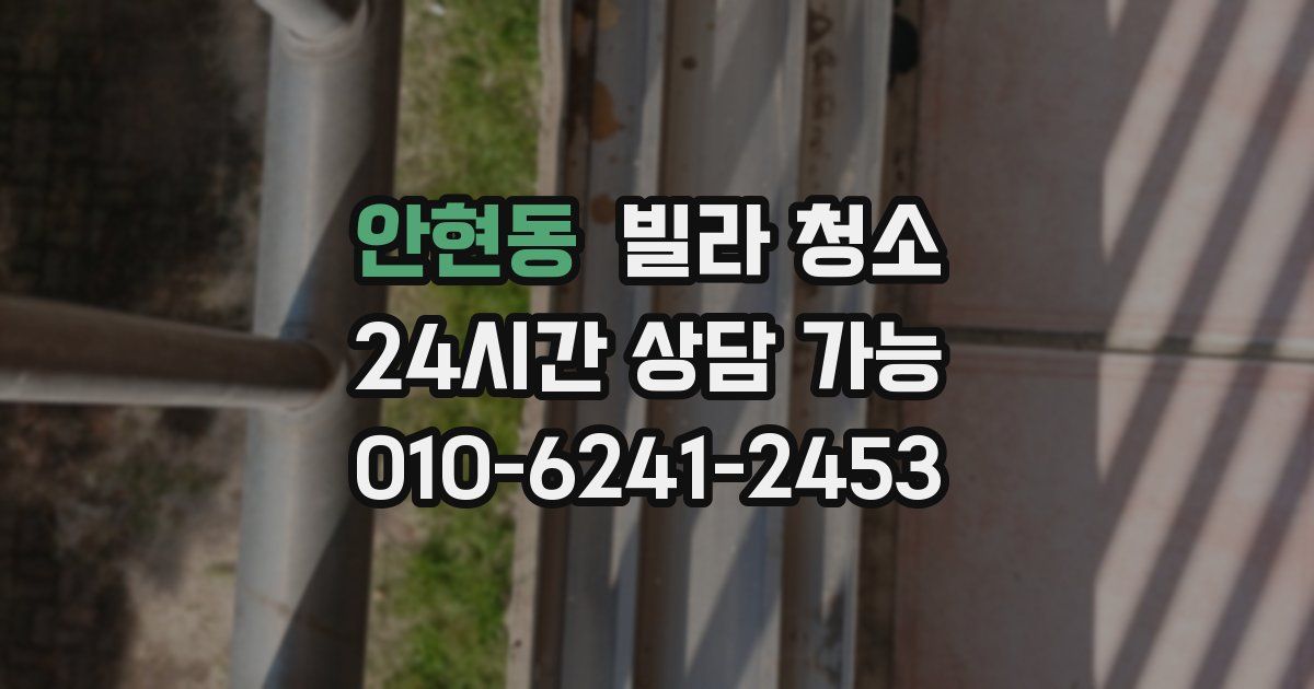 안현동 빌라 청소