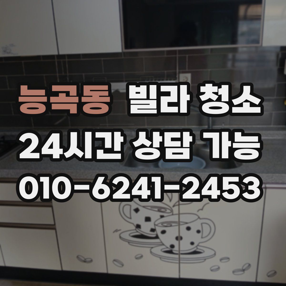 능곡동 빌라 청소