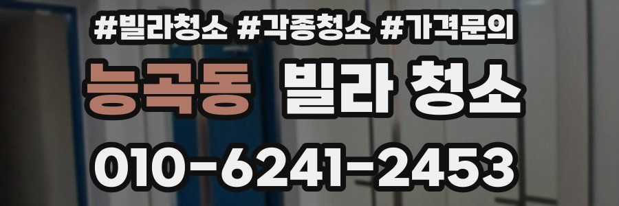 능곡동 빌라 청소