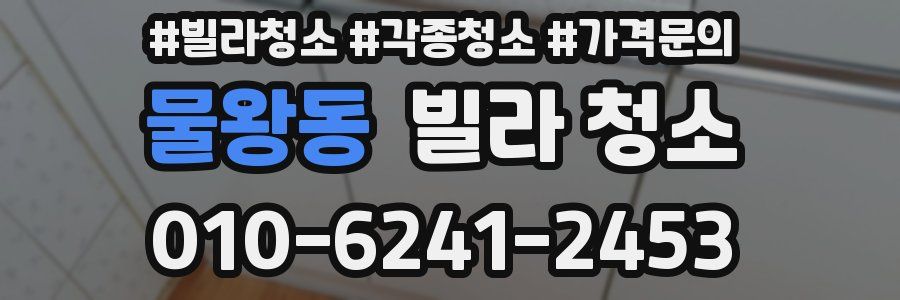 물왕동 빌라 청소