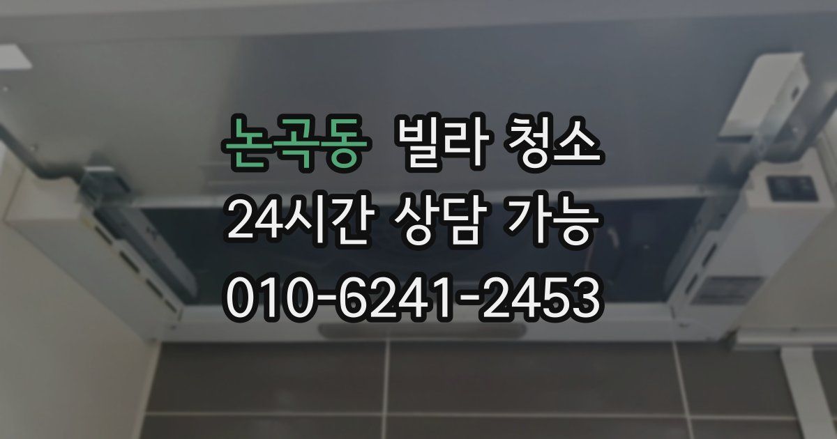 논곡동 빌라 청소