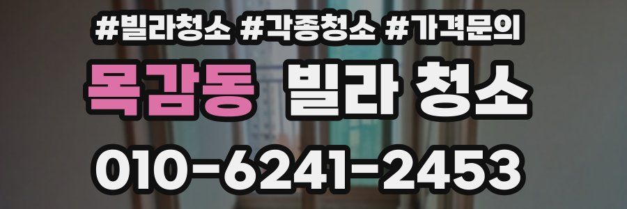 목감동 빌라 청소