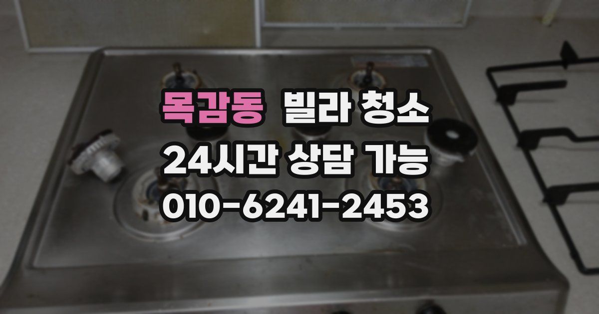 목감동 빌라 청소