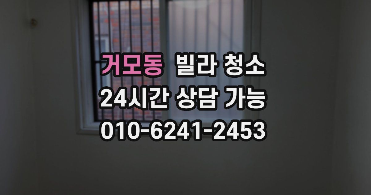 거모동 빌라 청소