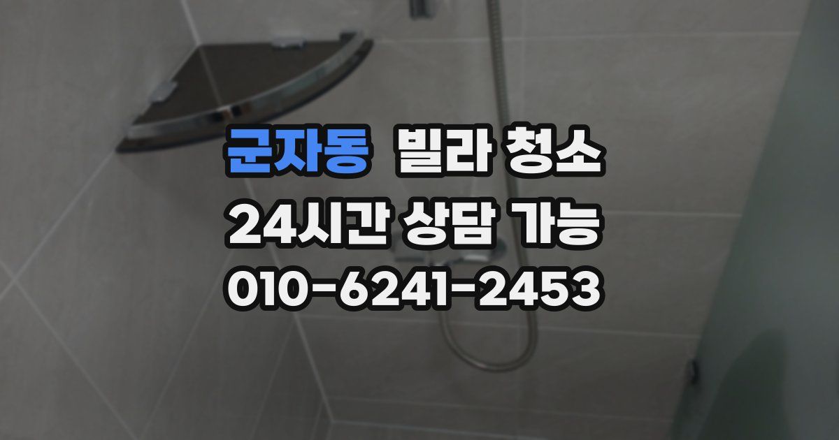 군자동 빌라 청소