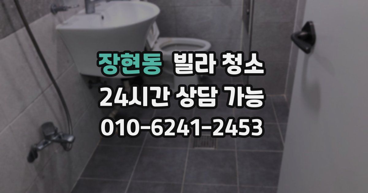 장현동 빌라 청소