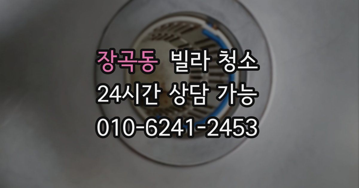 장곡동 빌라 청소