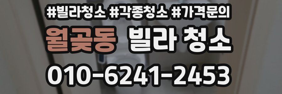 월곶동 빌라 청소