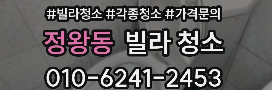 정왕동 빌라 청소