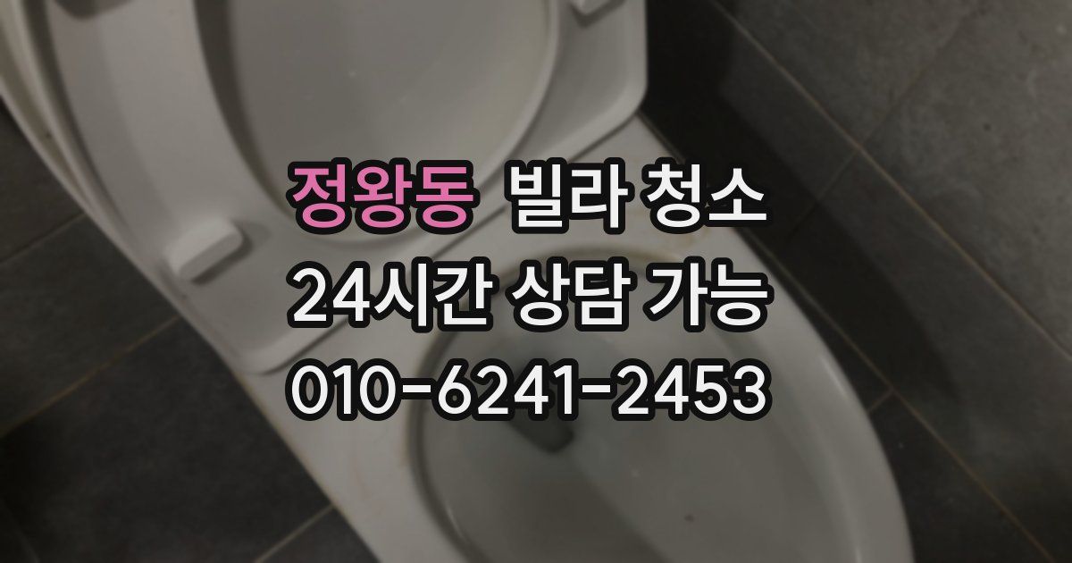 정왕동 빌라 청소