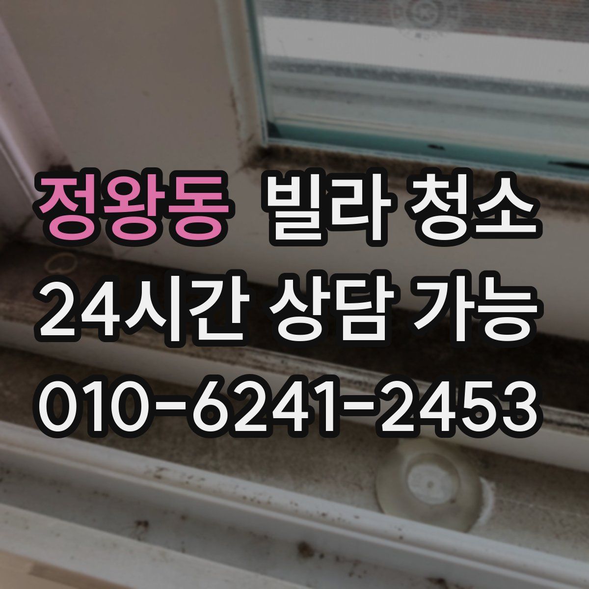 정왕동 빌라 청소