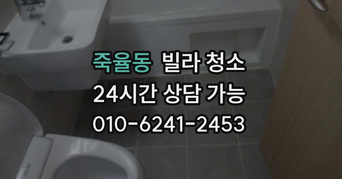 죽율동 빌라 청소