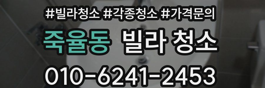 죽율동 빌라 청소