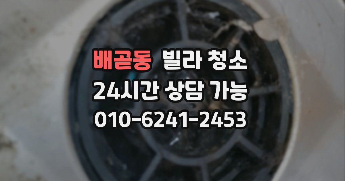배곧동 빌라 청소