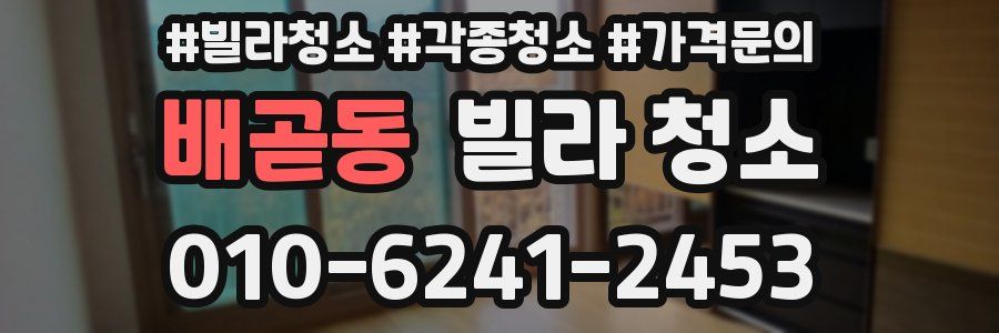 배곧동 빌라 청소