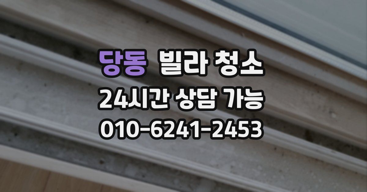 당동 빌라 청소