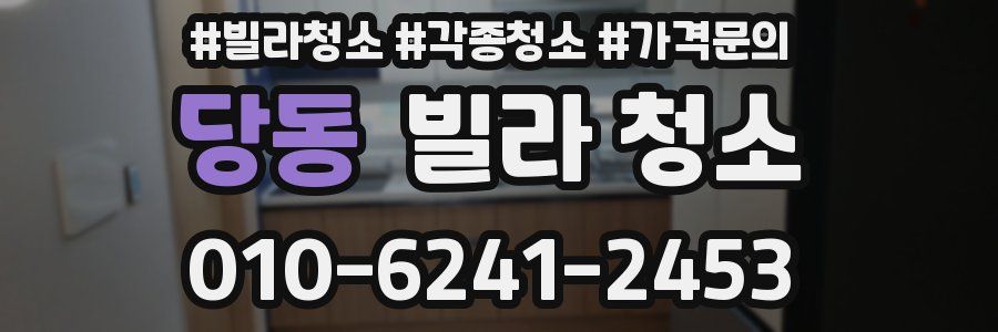 당동 빌라 청소