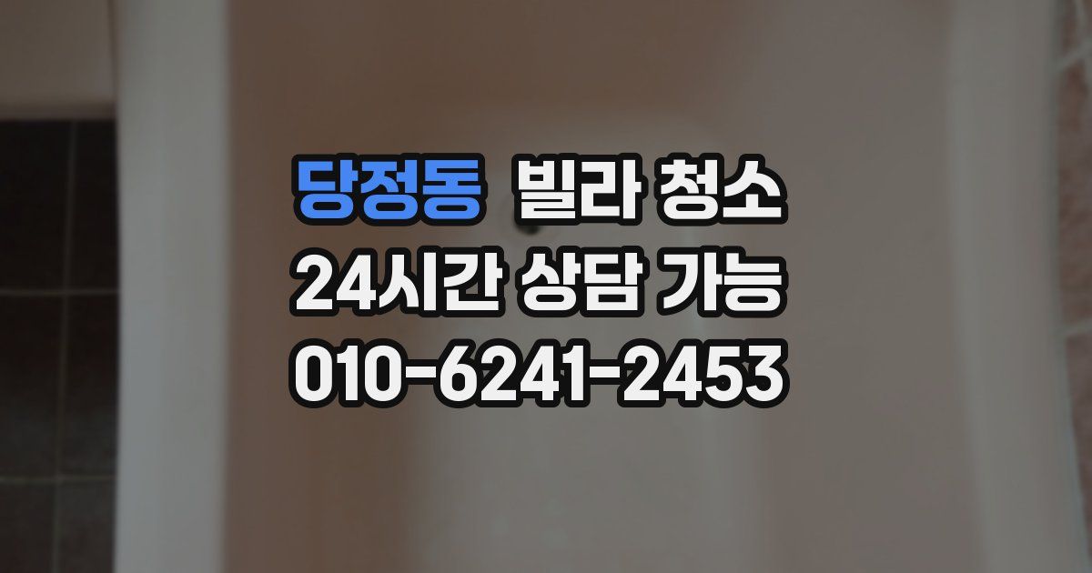 당정동 빌라 청소