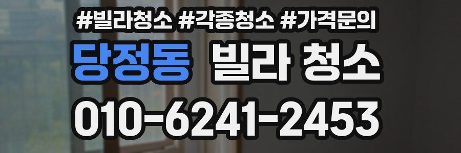 당정동 빌라 청소