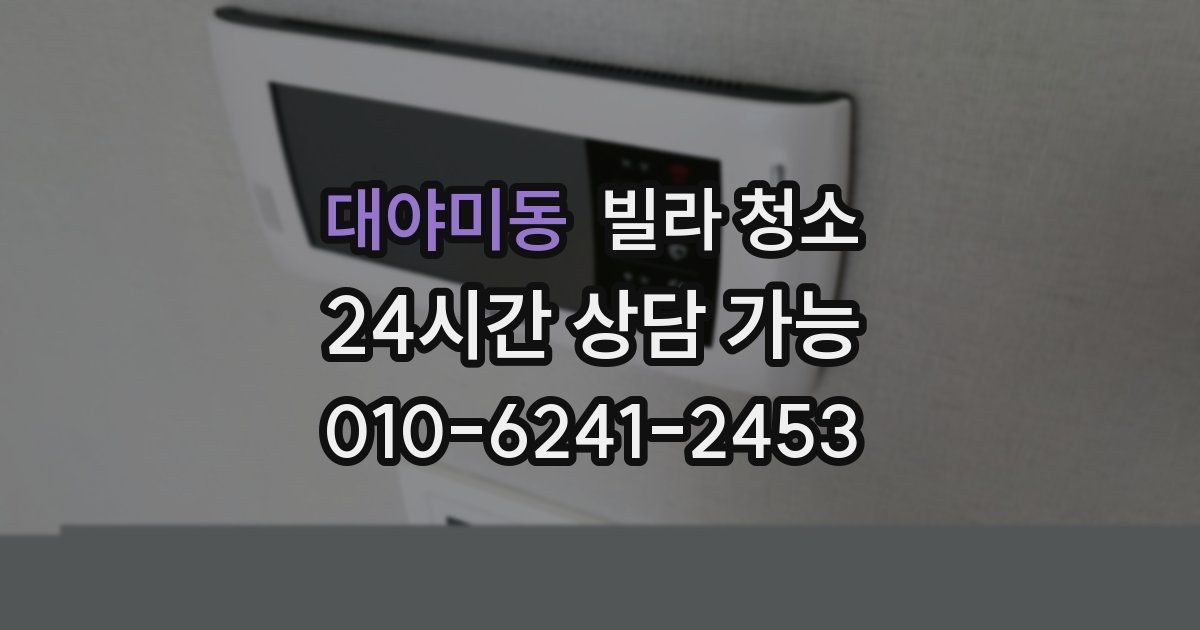 대야미동 빌라 청소