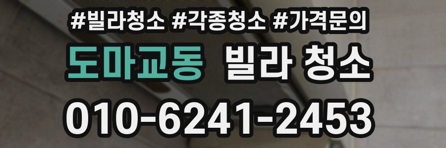 도마교동 빌라 청소