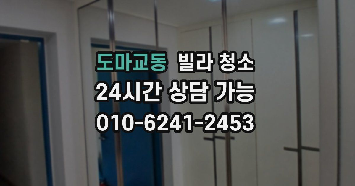 도마교동 빌라 청소