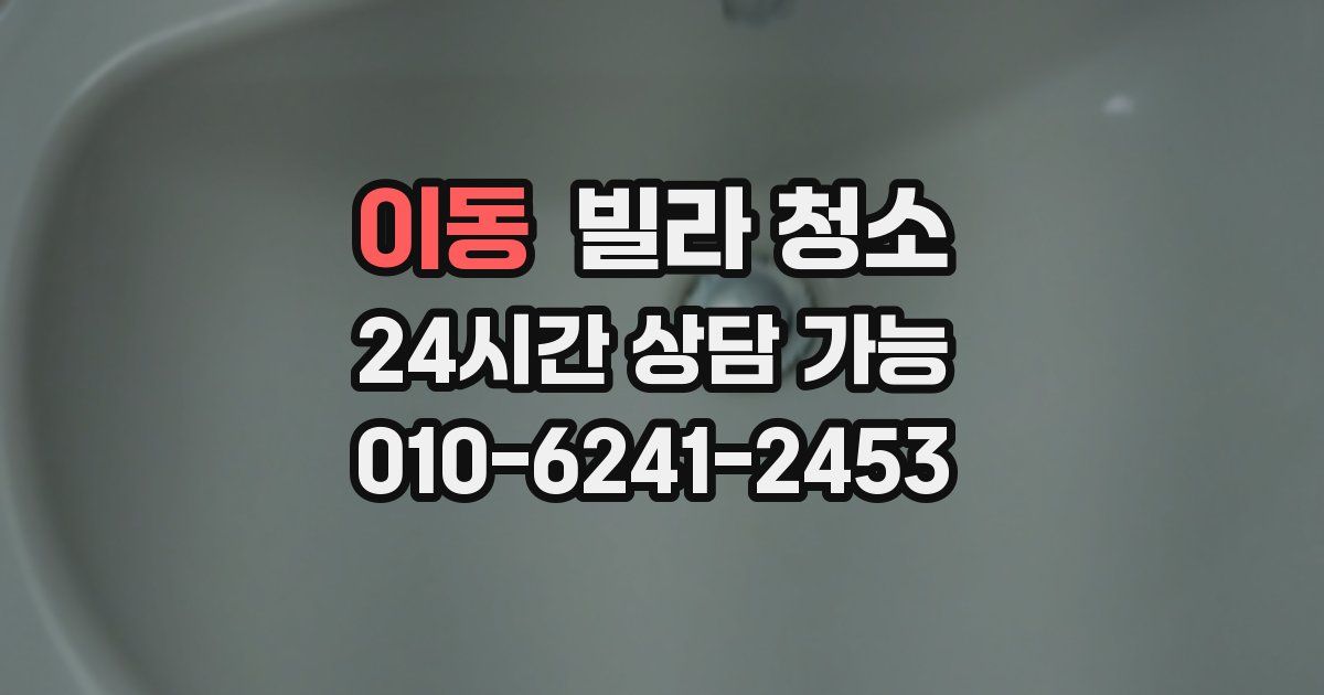 이동 빌라 청소