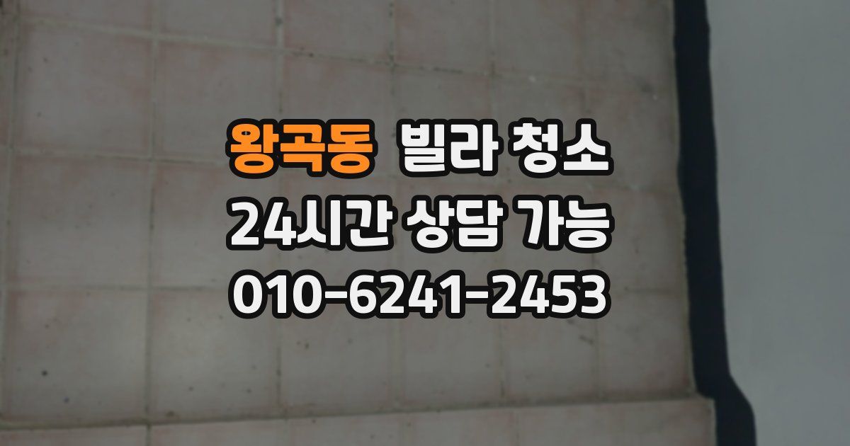 왕곡동 빌라 청소